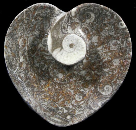 Heart Shaped Fossil Goniatite Dish #39374